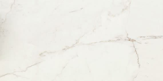 Classentino Marble Palazzo White Rectangle 12X24 Matte