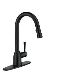 Adler Single-Handle Pull-Down Sprayer Kitchen Faucet with Reflex and Power Clean in Matte Black - pfxtg7fxrvgoiqaciuio@2x.jpg