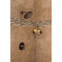 Dartmoor Tub and Shower Trim Package with 1.75 GPM Single Function Shower Head - Less Valve - pg1xjrvxbh2i5afns2fj@2x.jpg