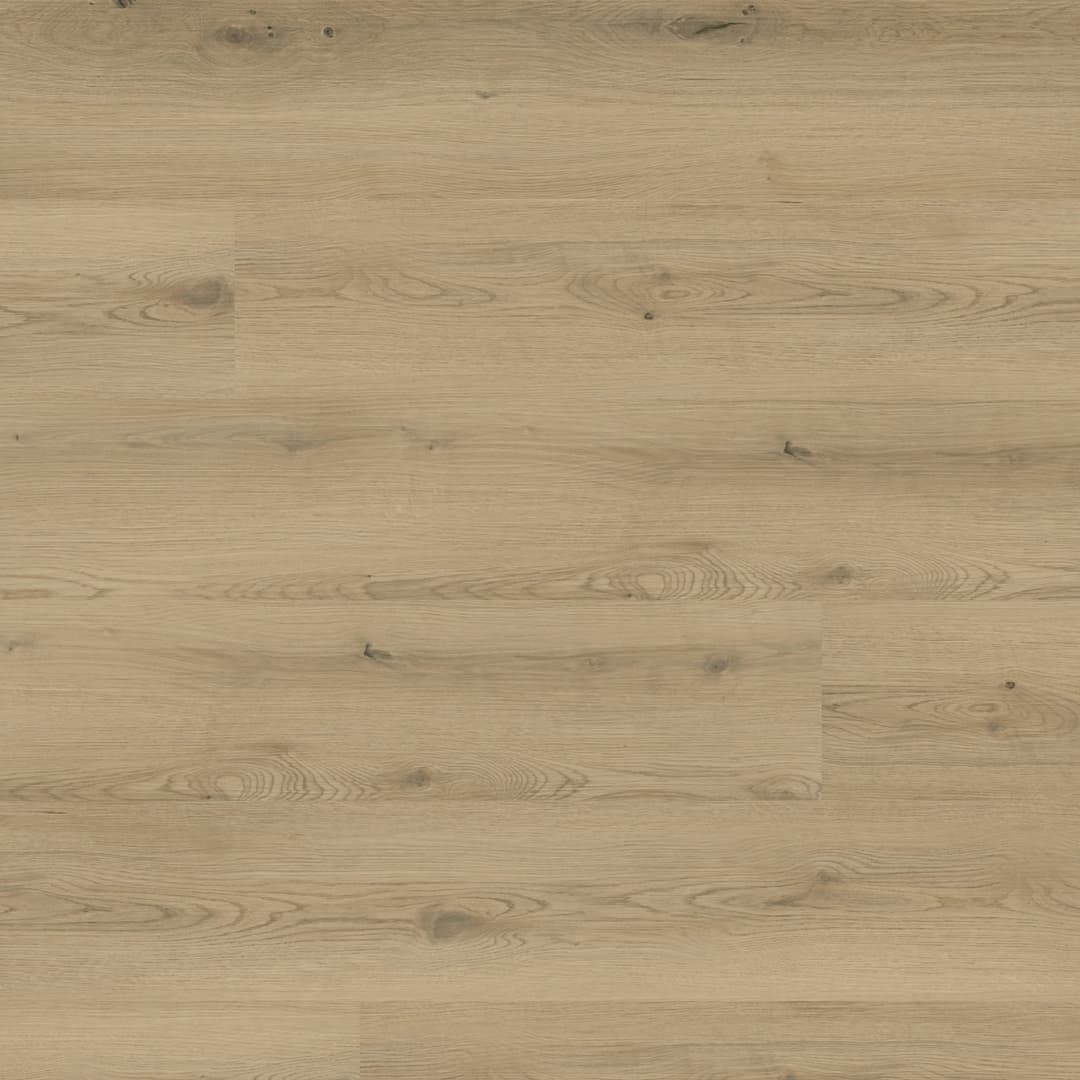 KALLUM RUNMILL ISLE 8.98X48.03 - pg4lirhmx3o6hjdxhz9d@2x.jpg