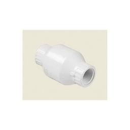 Swing Check Valve, 1 in, FNPT, PVC - pgdtngpycncnak7485pq@2x.jpg
