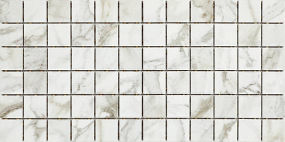 Platinum Magnolia Rectangle 12X24 Matte - pi3fpxzmrwkyzajp64zh@2x.jpg