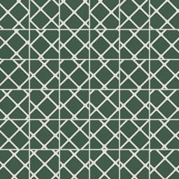 VECTORA GREEN GL MO 2X2/12X12 - pio8bprg1aolh9q9mwpd@2x.jpg