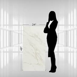 Panoramic Duet Diamond Mine Rectangle 24X48 Matte - piryfawgtac04afidc2s@2x.jpg