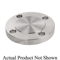 Raised Face Flange, 6 in, Blind, 150 lb, 11 in OD, 7/8 in Bolt Hole Size, 304/304L Stainless Steel - pjkaqujj6kpow6verx5t@2x.jpg
