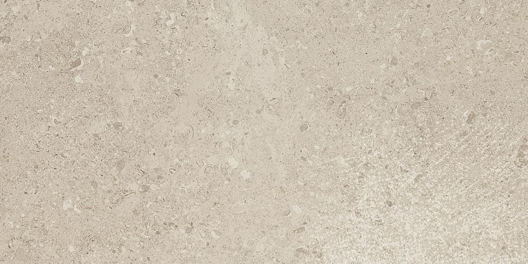 Dignitary Notable Beige Rectangle 12X24 Matte - pk3bni0b0jbhit3xcuxn@2x.jpg