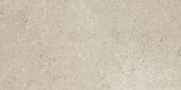 Dignitary Notable Beige Rectangle 12X24 Matte - pk3bni0b0jbhit3xcuxn@2x.jpg