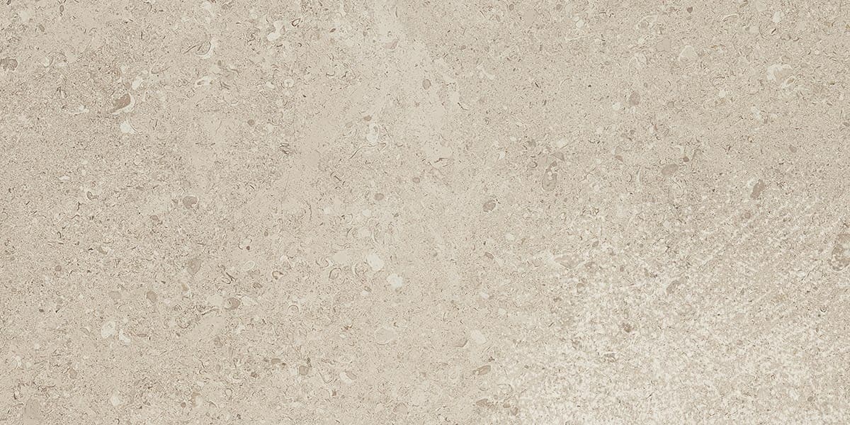 Dignitary Notable Beige Rectangle 12X24 Matte - pk3bni0b0jbhit3xcuxn@2x.jpg