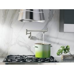 5.5 GPM Wall Mounted Double Handle Pot Filler - pkqptzjhwlbtrppoocpy@2x.jpg