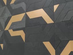 FOCUS BLACK GOLD (Make to order) - pl28yctoq29aknpsh2ri@2x.jpg