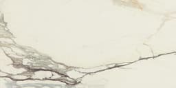 Panoramic Duet Calacatta Topaz Rectangle 12X24 Polished - pnvpwn6osrc7xc0yqvru@2x.jpg