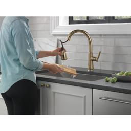 Coranto 1.8 GPM Single Hole Pull Down Kitchen Faucet with Magnetic Docking Spray Head and ShieldSpray - po3vcgolzmmmr7ctdmls@2x.jpg