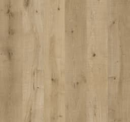 Coastal Ivory - ppx2bge50izjun4tat0a@2x.jpg