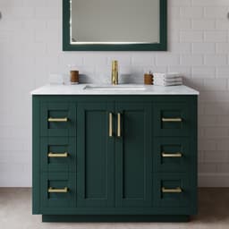 Miranda Single Bathroom Vanity - 42W x 33.75H x 22D - pq2lal9szycdieodj5uu@2x.jpg