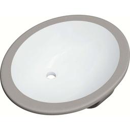 Comstock 19-1/2" Oval Vitreous China Undermount Bathroom Sink with Overflow - proflo-pf1714uawh-2@2x.jpg