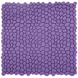 REVIFY VIOLET MT DOT/MO - prtm51trpzdljfwss7oo@2x.jpg