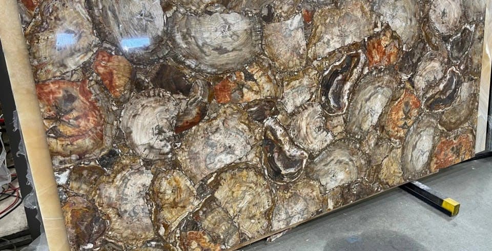 Petrified Wood - ptvjj9r73fih2ikcfvun@2x.jpg