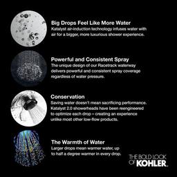 Forte 2.5 GPM Single Function Shower Head with Katalyst Air-induction Technology - pu07dazcd7dus8e53tie_x500.jpg