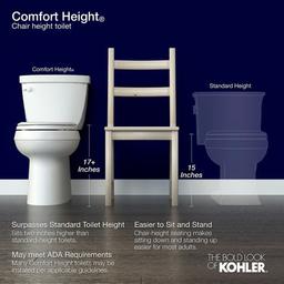 Cimarron Elongated Chair Height Toilet Bowl Only - Less Seat - puzdaysqe9oc9xjemx2x_x500.jpg