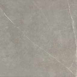 STERLINA II DOVE MT 12X12 - pv3vkwaj92s6drnrasqr@2x.jpg