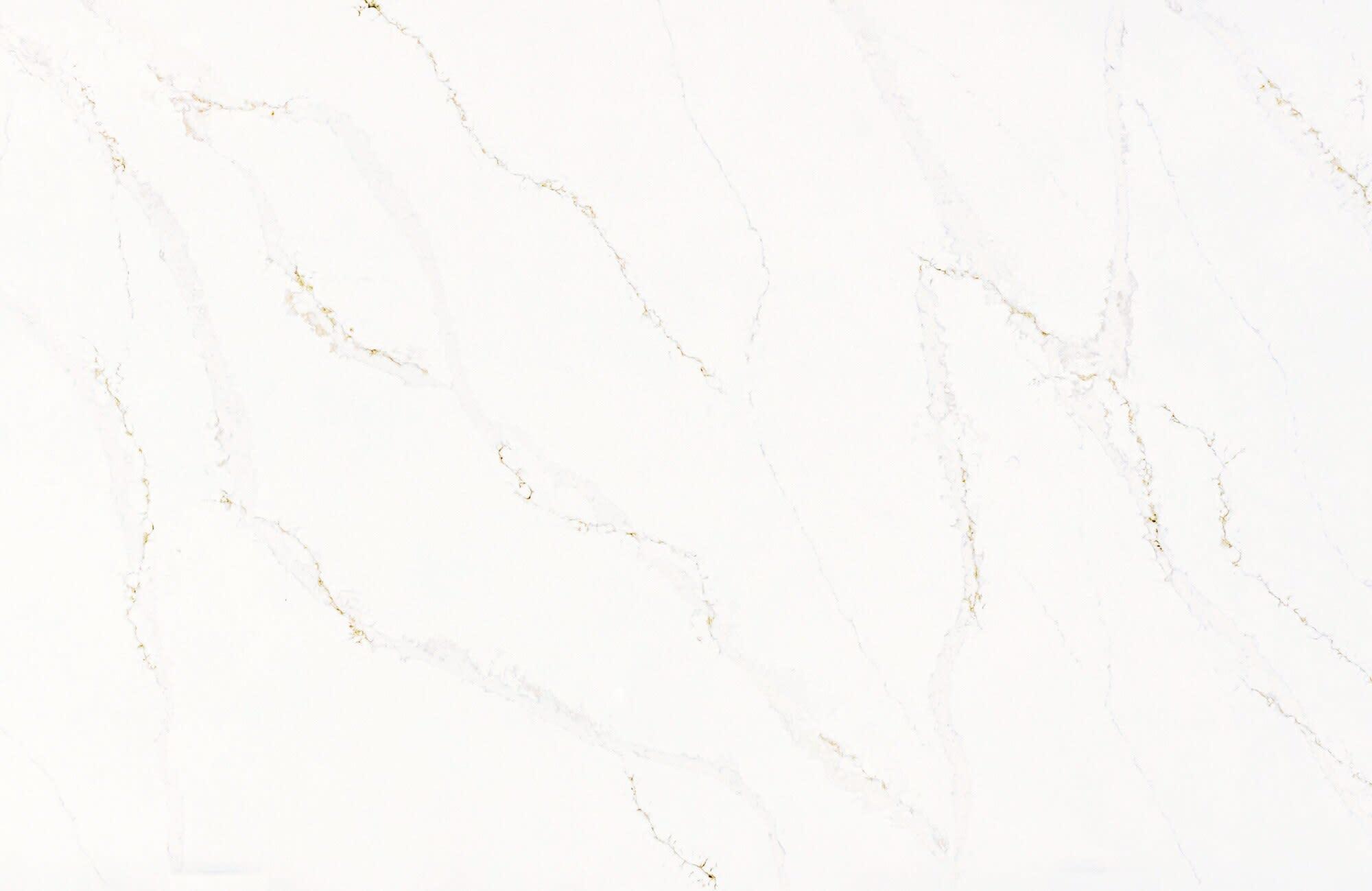 Calacatta Alabaster - pw0pe73625dtvstwtdii@2x.jpg