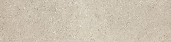 Dignitary Notable Beige Rectangle 12X24 Matte