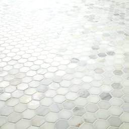 Arabescato Carrara 1" Hexagon Mosaic Tile - pycqzakbba7mqwwkrkz7@2x.jpg
