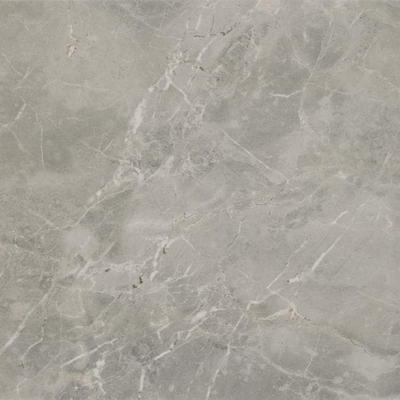 Platinum Dove Rectangle 12X24 Matte - pz0raalirxvfaj43a5sd@2x.jpg