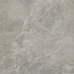 Platinum Dove Rectangle 12X24 Matte - pz0raalirxvfaj43a5sd@2x.jpg