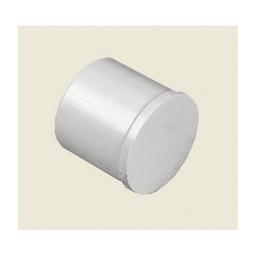 Plug, 2 in, Spigot, SCH 40/STD, PVC - pz5yngpgqcsjmv6lytmg@2x.jpg