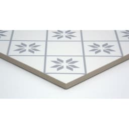 GEOMETRY PETAL GRAY 10X10 - pzyzzspwum5i1qpz4o4y@2x.jpg