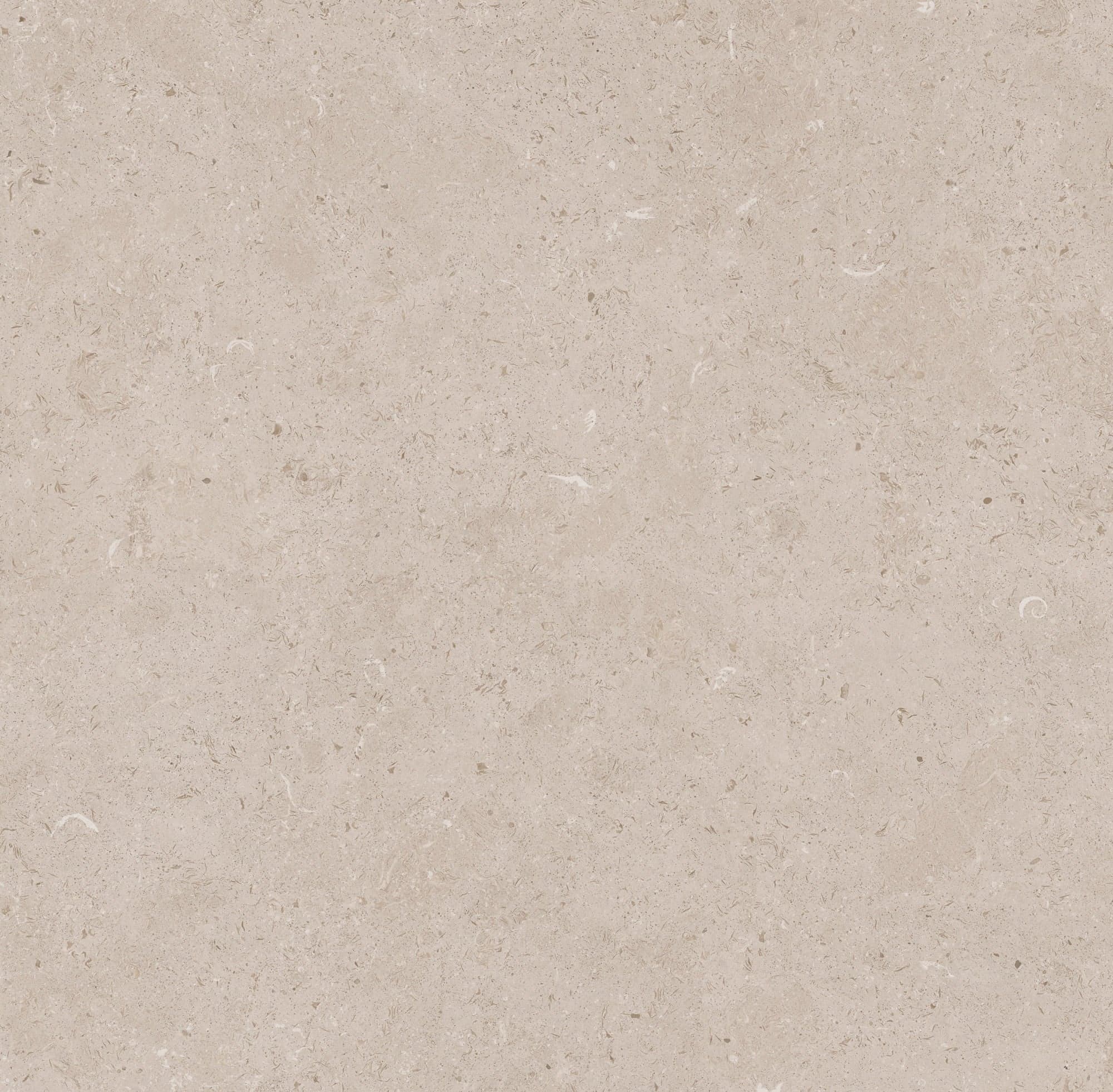 LIMESTONE TAUPE 24X48