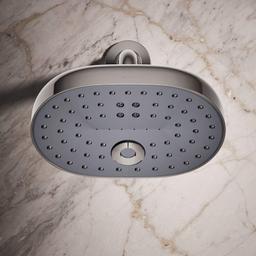 Statement 2.5 GPM Multi Function Shower Head with MasterClean Sprayface and Katalyst Air Induction Technology - q1gcrjvdzebcnq6gebpu@2x.jpg