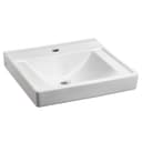 Decorum 20" Wall Mounted Bathroom Sink with EverClean Surface and Rear Overflow - q51ji9jxsfeonul6a3r7@2x.jpg