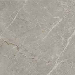 Platinum Dove Rectangle 12X24 Matte - q7pu8hrkup9qrkor93ln@2x.jpg