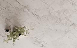 Superior White - q8femh146dbrj2egnhoo@2x.jpg