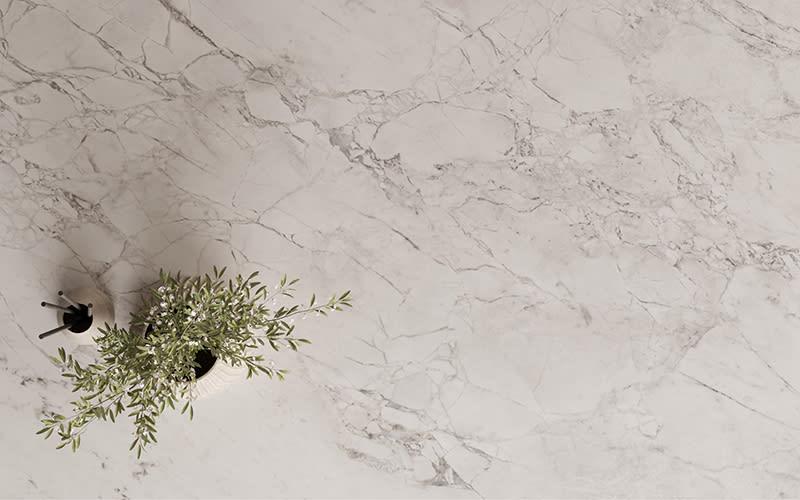 Superior White - q8femh146dbrj2egnhoo@2x.jpg