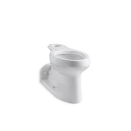 Barrington™ Toilet Bowl, Floor Mount, 12 in Rough, Elongated, White - qckpzyudk47rgk2pmwdu@2x.jpg