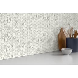 ECHO WHITE 2" HEX MO/12X14 - qevu5qnfoiiragbmvimd@2x.jpg