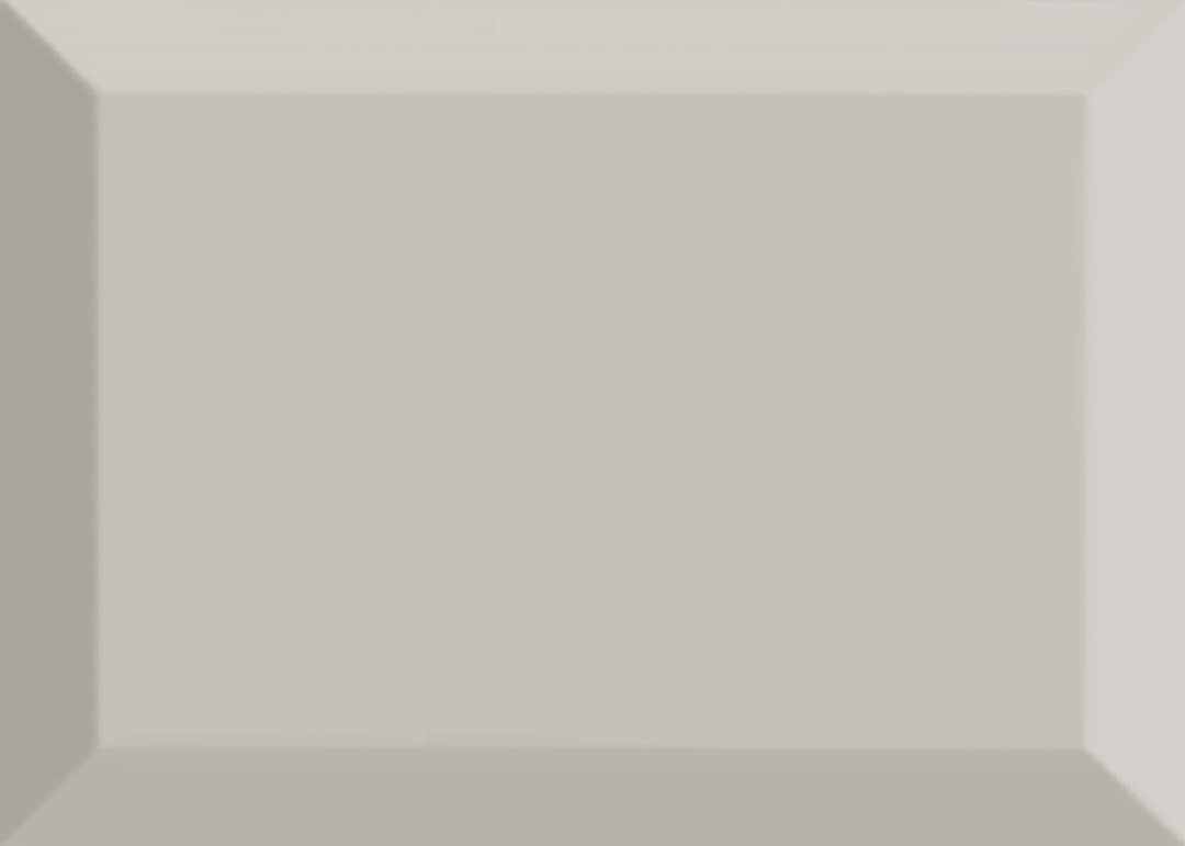 Hawthorne Scholarly Gray Rectangle, Bevel 4X12 Glossy - qfd9zrgv5auvilkf7exy@2x.jpg