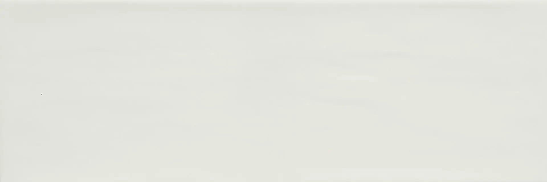 MAGNOLIA BLANCO 6X18 SBN