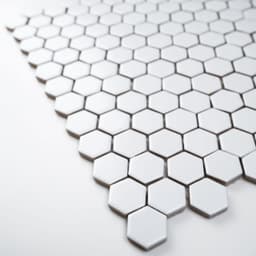 1x1 White Hexagon - qgtf5y8vqxt28b7sc07q@2x.jpg