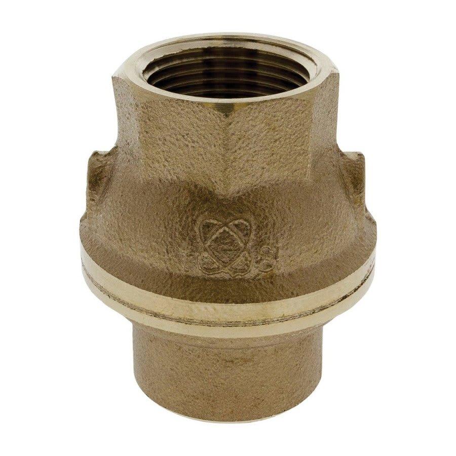 Ring Check® Spring Check Valve, 1-1/4 in, FNPT, Bronze - qheqh9zu5bofyupnxliy@2x.jpg