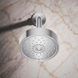 Purist 2.5 GPM Multi Function Shower Head with MasterClean and Katalyst Air-Induction Spray Technology - qhzgdrxw5zwwnttmidw0@2x.jpg