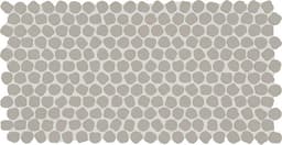 Keystones Desert Gray Organic Penny 1X1 Matte - qiflbzmwpcboalr7uy4a@2x.jpg