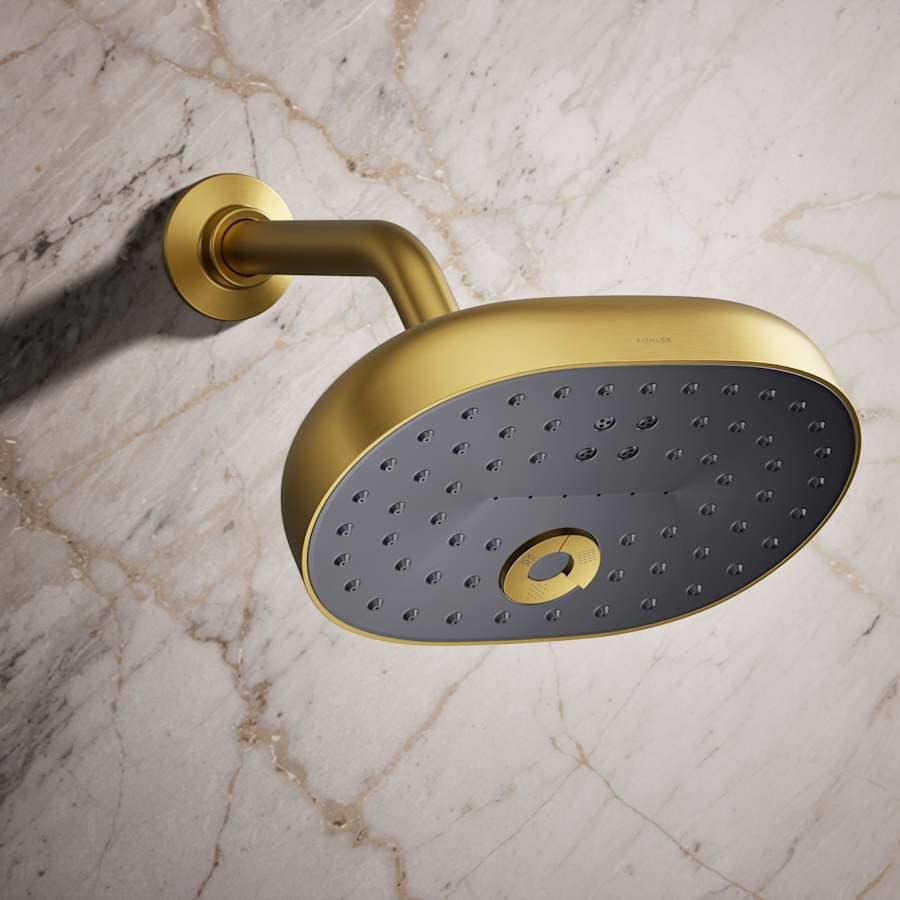 Statement 1.75 GPM Multi Function Shower Head with MasterClean Sprayface and Katalyst Air Induction Technology