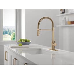Trinsic 1.8 GPM Single Hole Pre-Rinse Pull Down Kitchen Faucet - qjlakyhmo1q7k2glmium@2x.jpg