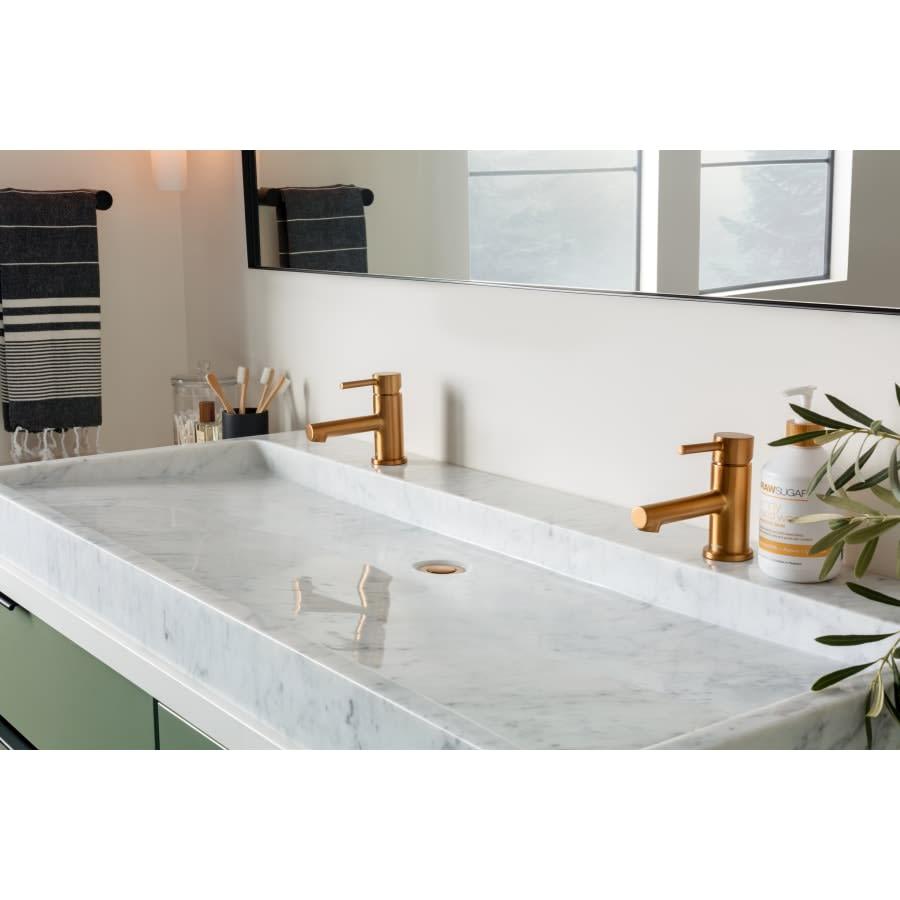 Align 1.2 GPM Single Hole Bathroom Faucet with Pop-Up Drain Assembly - qjvjlyqowkdgrbpotnkk@2x.jpg