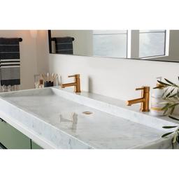 Align 1.2 GPM Single Hole Bathroom Faucet with Pop-Up Drain Assembly - qjvjlyqowkdgrbpotnkk@2x.jpg