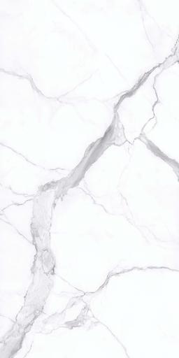 Statuario - qlpghw9h2y8xanzoth65@2x.jpg
